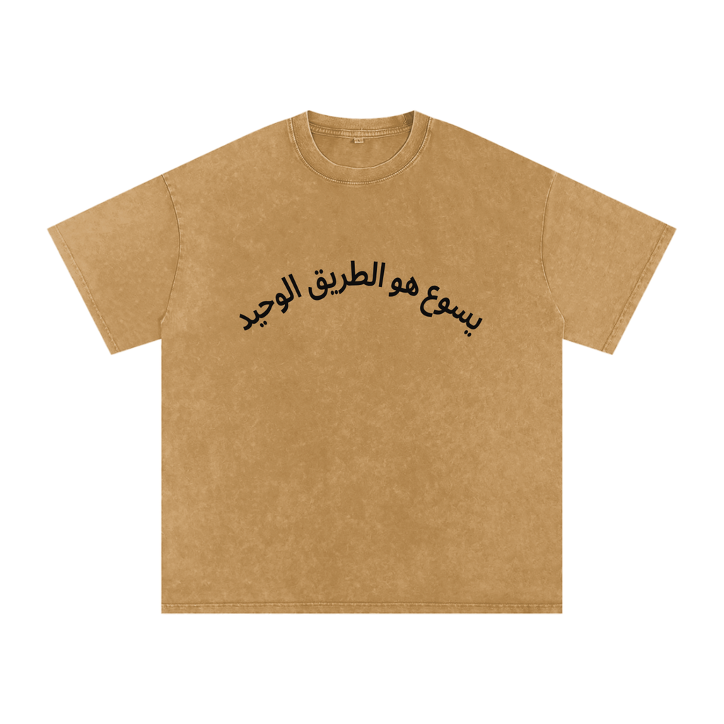 Snow Washed Oversized Cotton T-Shirt